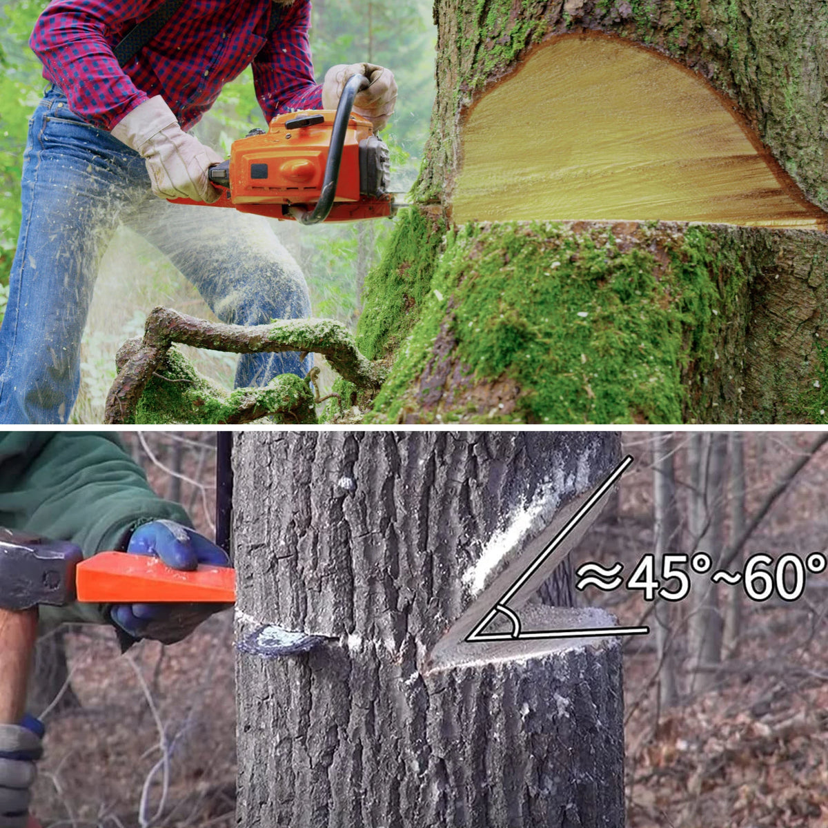 Felling Wedges 3-Pack for Chainsaw Tree Cutting, Landscaping & Logging – image 4