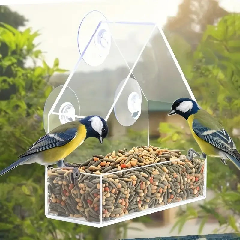 Window Bird Feeder - Clear Acrylic with Strong Suction Cups – image 2