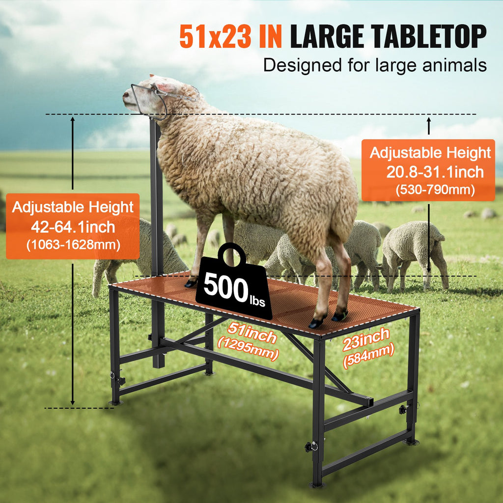 Adjustable Goat and Sheep Stand for Milking, Shearing and Hoof Care – image 4