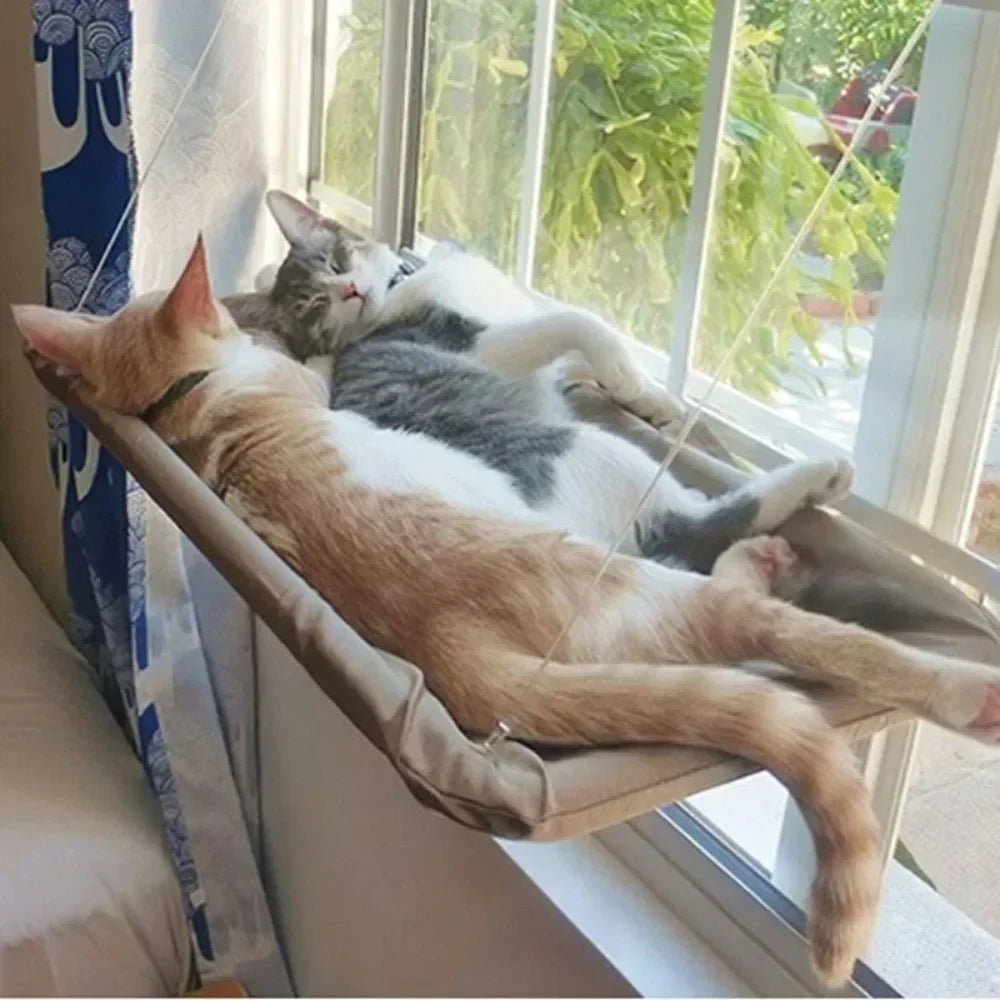 Cat Window Hammock - Suction Cup Perch Holds 40 lbs, Washable – image 4