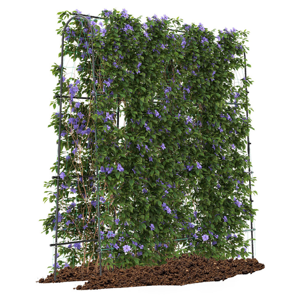 U-Shaped Arched Garden Trellis 71 x 71 in for Climbing Plants – image 5