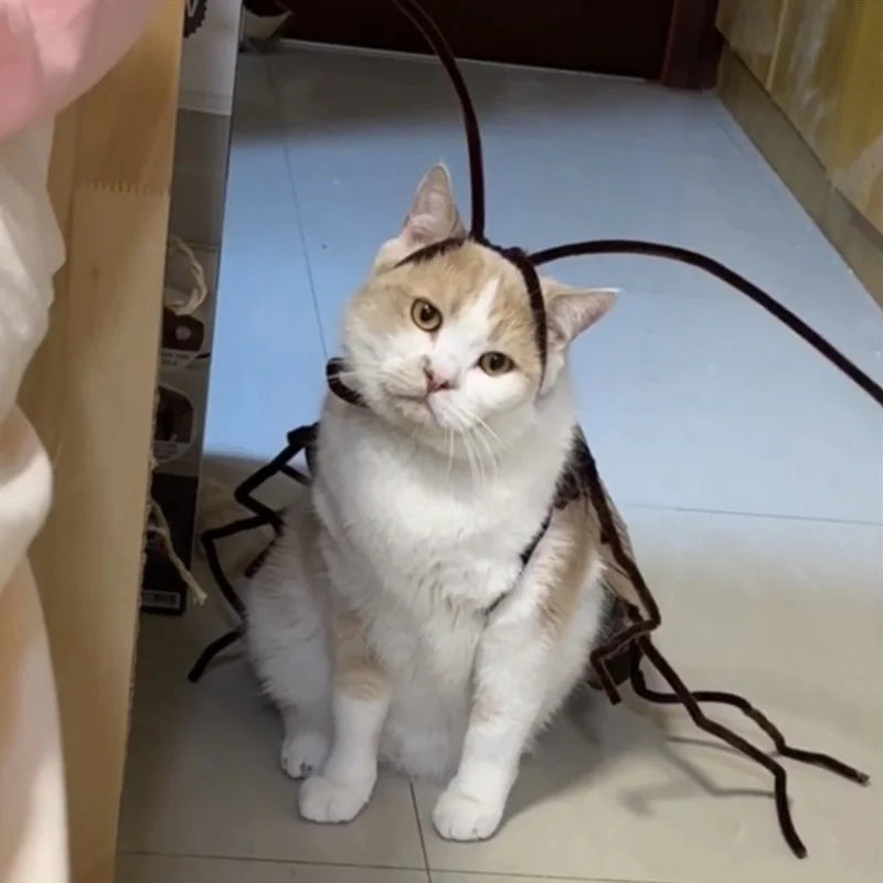 Cockroach Cat Costume with Wings - Funny Halloween Pet Outfit