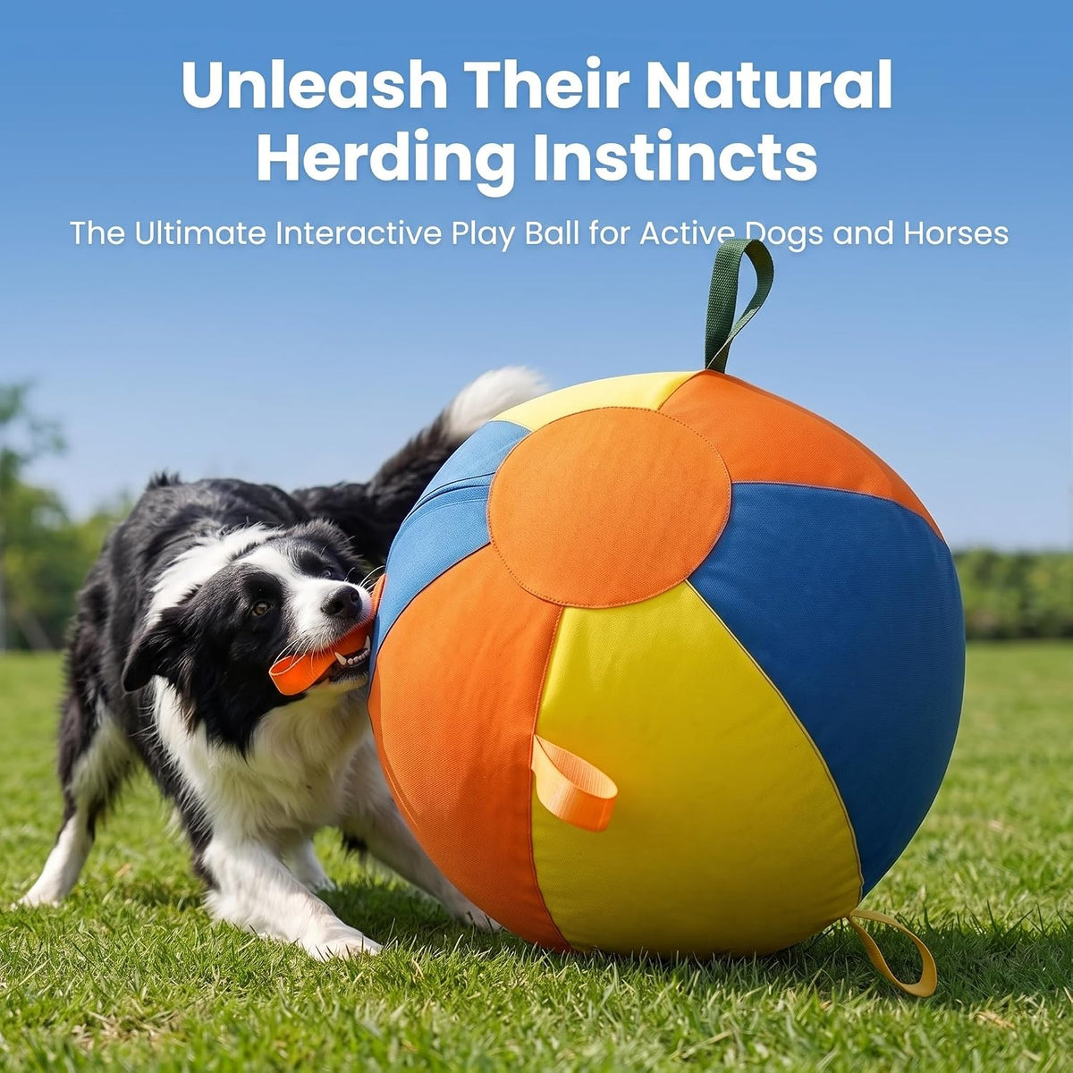 Herding Ball for Dogs Large Inflatable Outdoor Play Ball – image 2