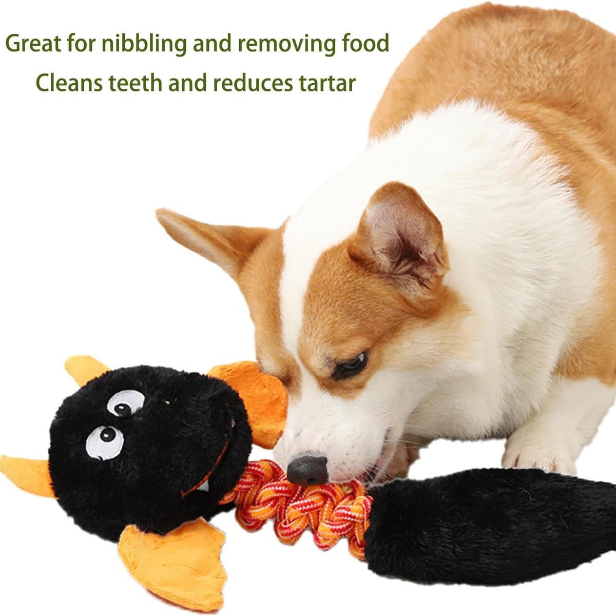 Plush Squeaky Toys for Dogs & Cats
