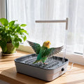 Automatic Bird Bath – Circulating Tabletop Parrot Shower