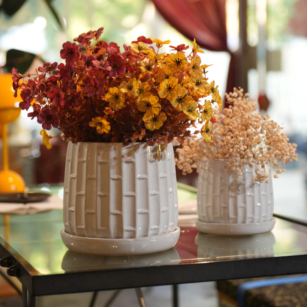 Ceramic Planter Set of 2, White Glazed 6 and 8 in Orchid Pots – image 14