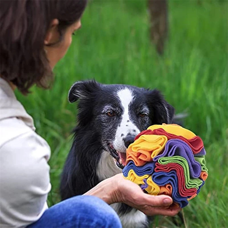 Dog Snuffle Ball – Interactive Sniffing Puzzle Toy for Pets – image 3