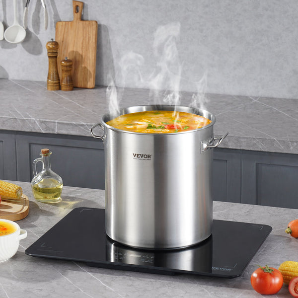 53 Quart Stainless Steel Stockpot with Lid for Turkey and Boils