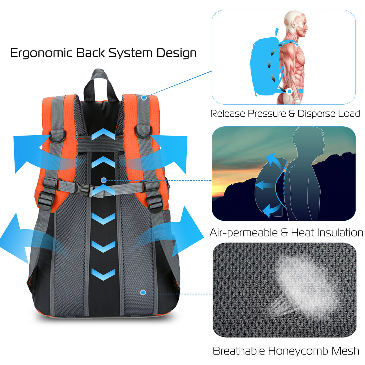 Hiking Daypack 36L – Waterproof Outdoor Travel Backpack – image 4