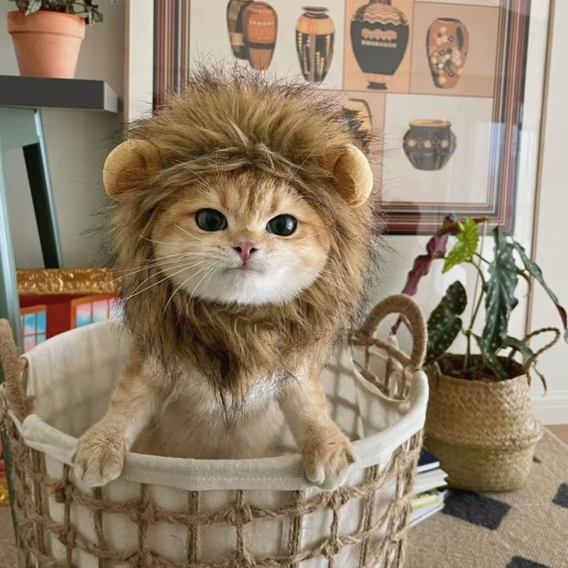 Lion Mane Cat Wig Hat - Funny Halloween Pet Costume