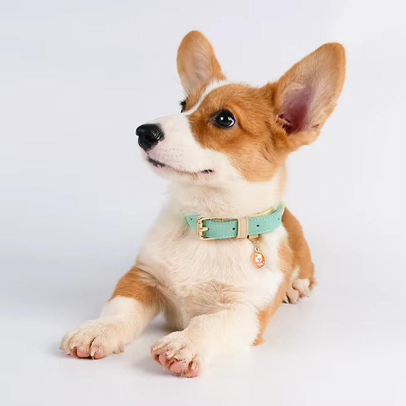 Leather Dog Collar – Adjustable S, M, L – image 6