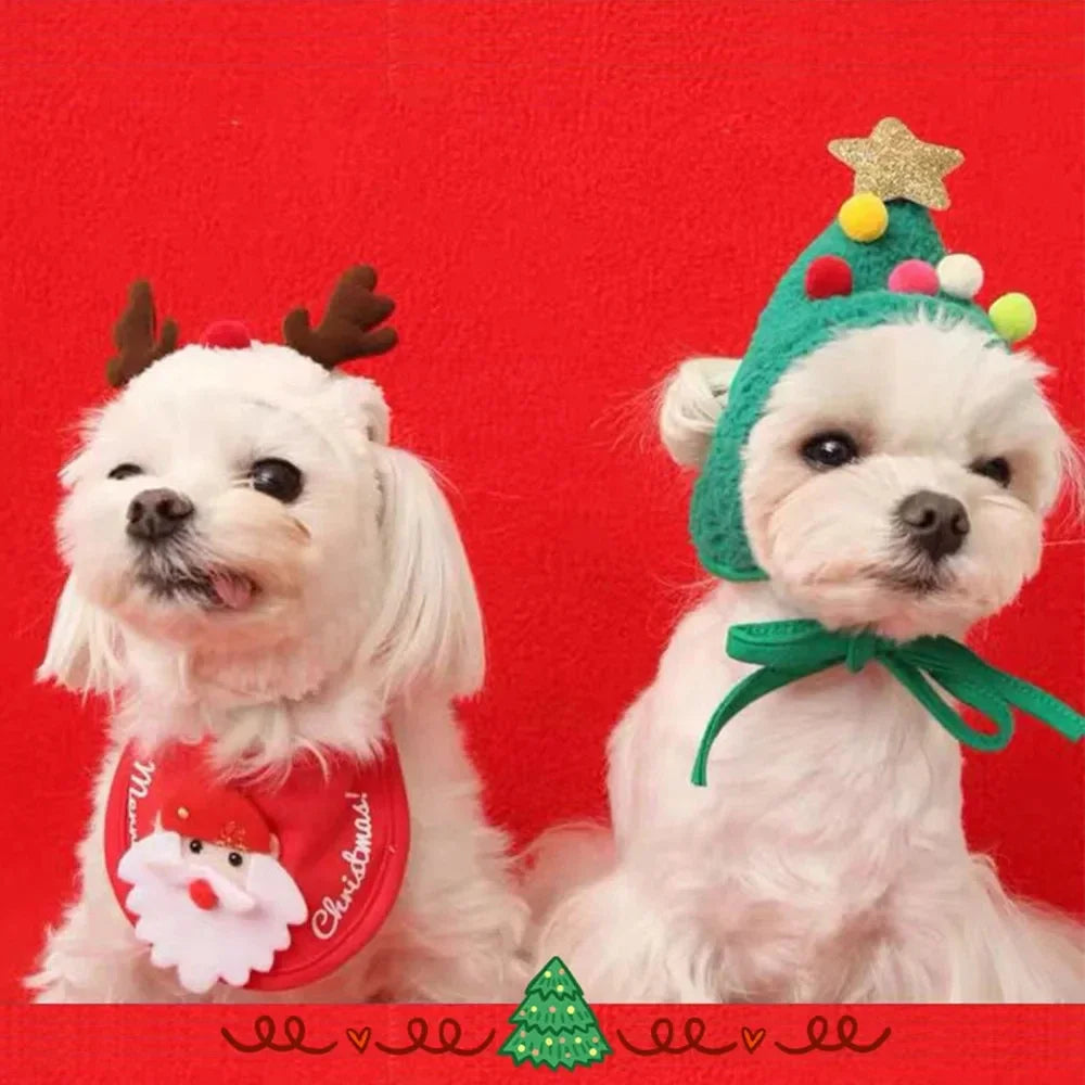 Christmas Pet Costume Set - Santa Hat & Scarf for Cats & Dogs