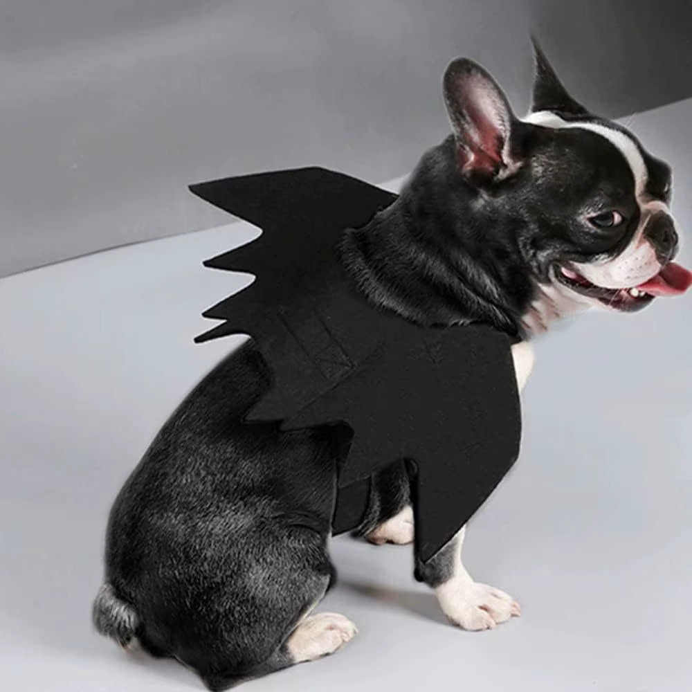 Pet Bat Wings Costume, Halloween Harness for Cats and Small Dogs – image 6