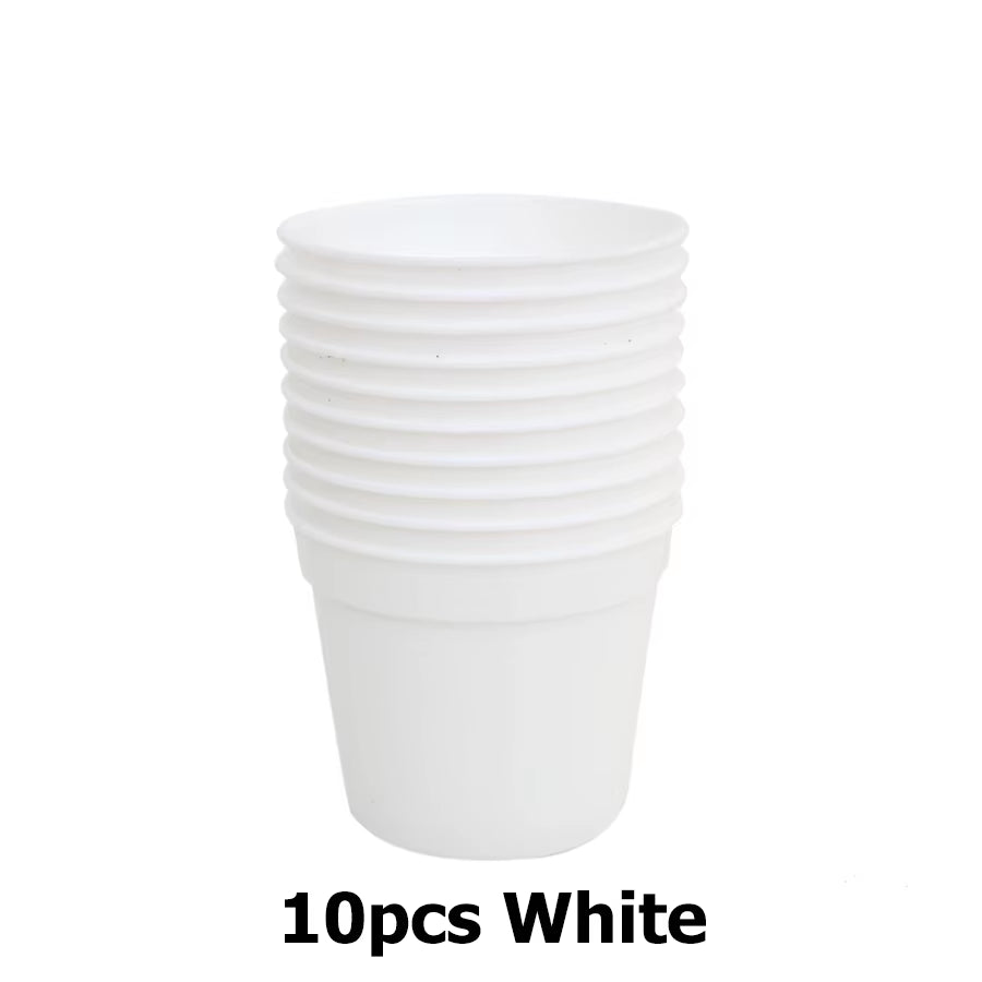 Succulent Plant Pots Mini, 10 Pack