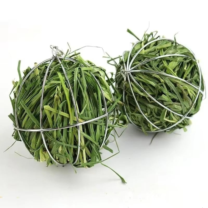 Hay Ball Feeder - Stainless Steel Hanging Hay Rack for Small Pets – image 4