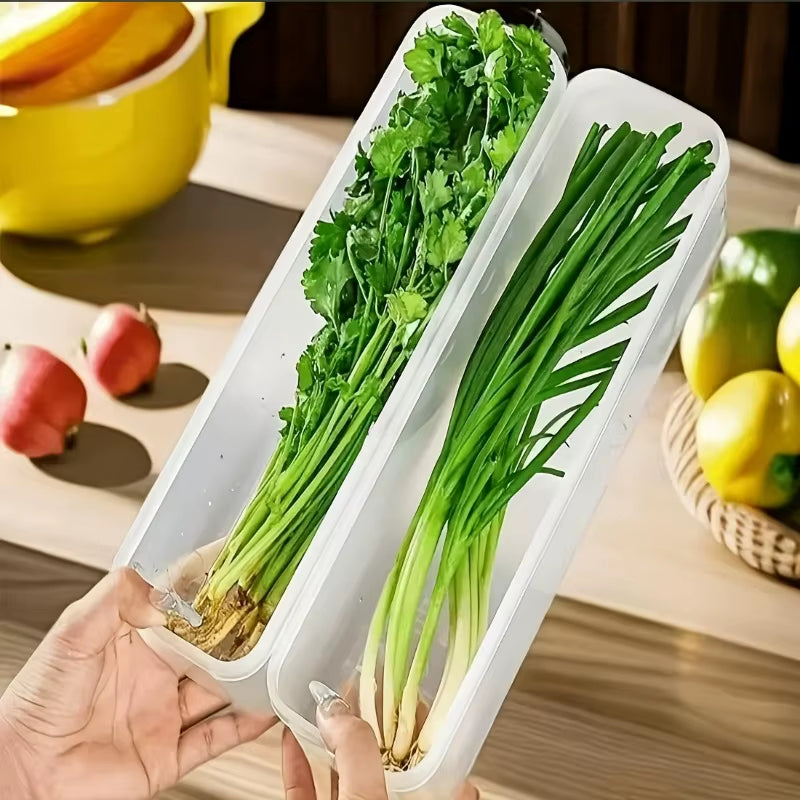 Produce Storage Containers – Long Fridge Boxes for Herbs and Veggies