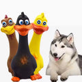 Screaming Chicken Dog Toy 3 Pack Squeaky Rubber Chew Toys
