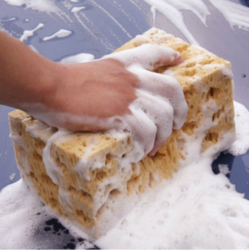 Honeycomb Car Wash Sponge – Coral Foam Scrub for Paint – image 3