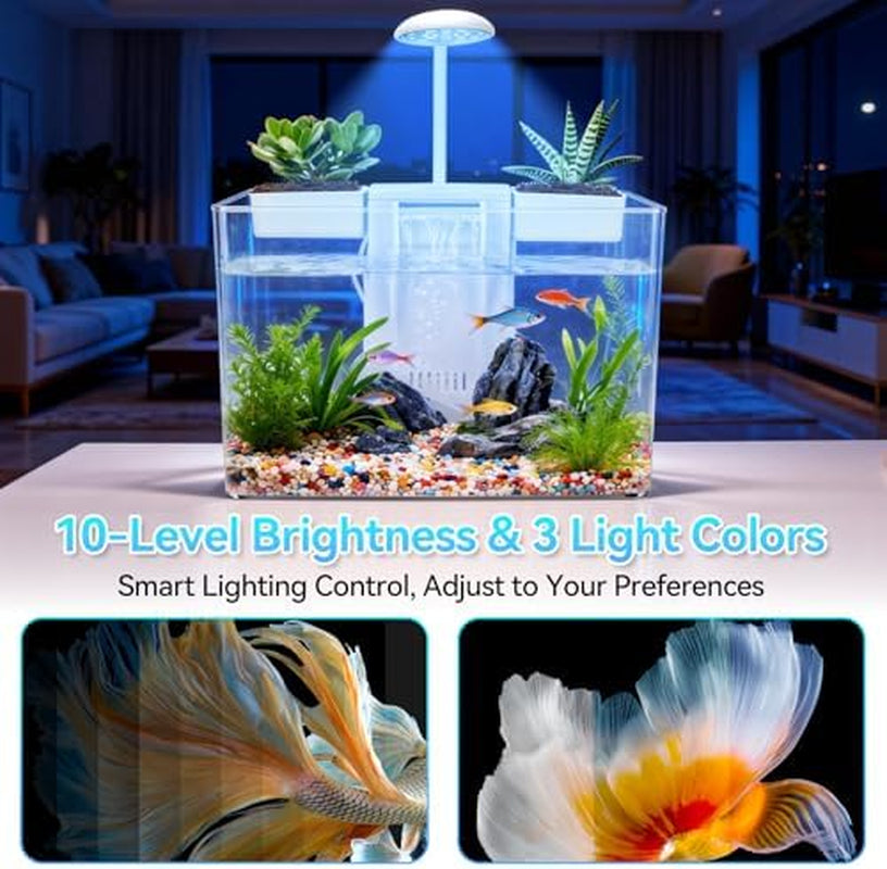 Turtle Tank Kit, Acrylic Starter Aquarium with Lamp & Filter – image 3