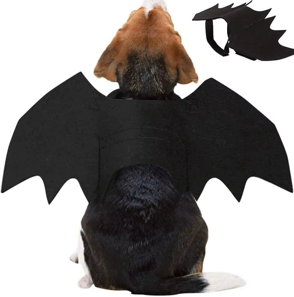 Pet Bat Wings Costume, Halloween Harness for Cats and Small Dogs – image 4