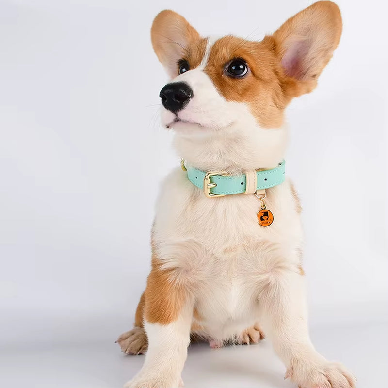 Leather Dog Collar – Adjustable S, M, L – image 7