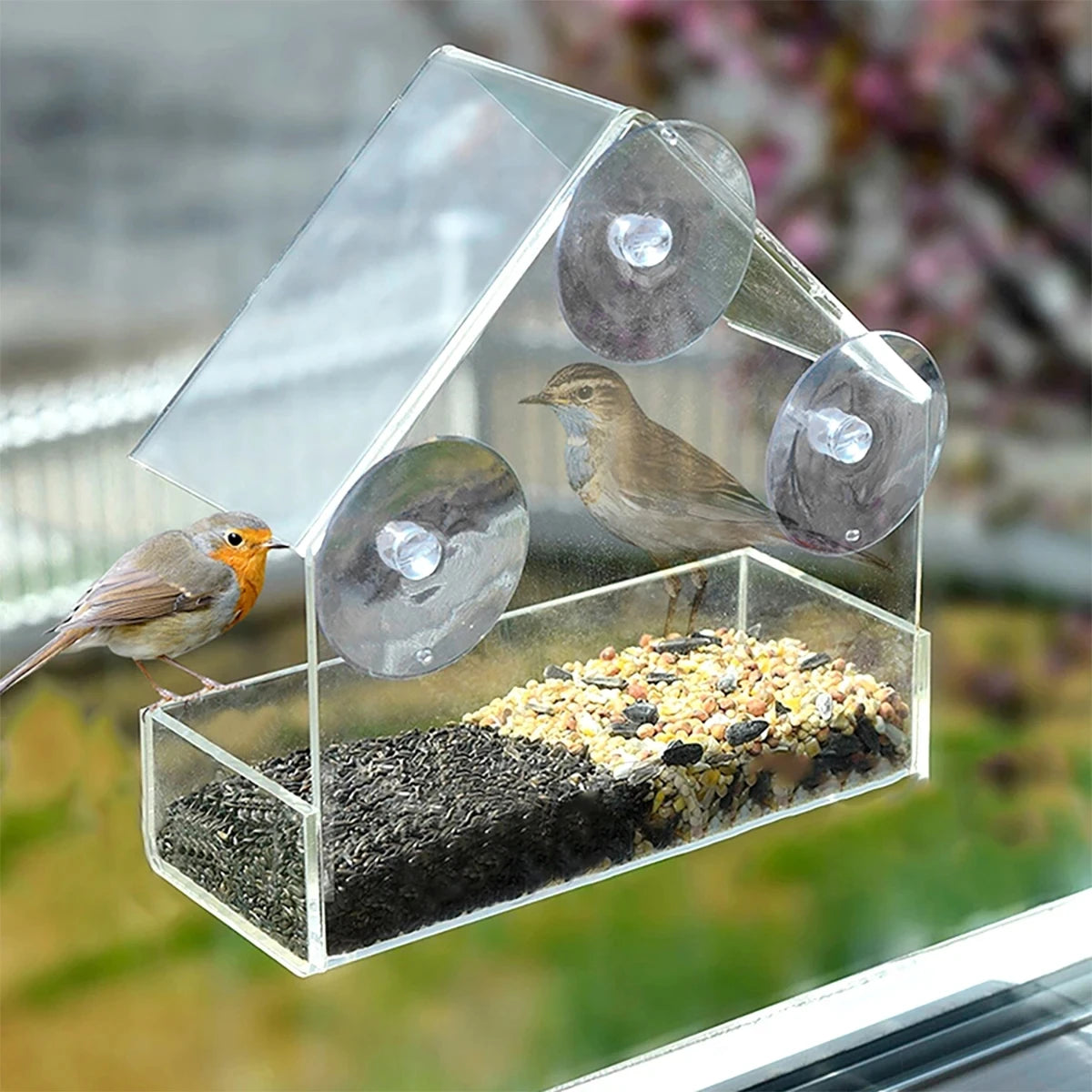 Window Bird Feeder - Clear Acrylic with Suction Cups – image 2