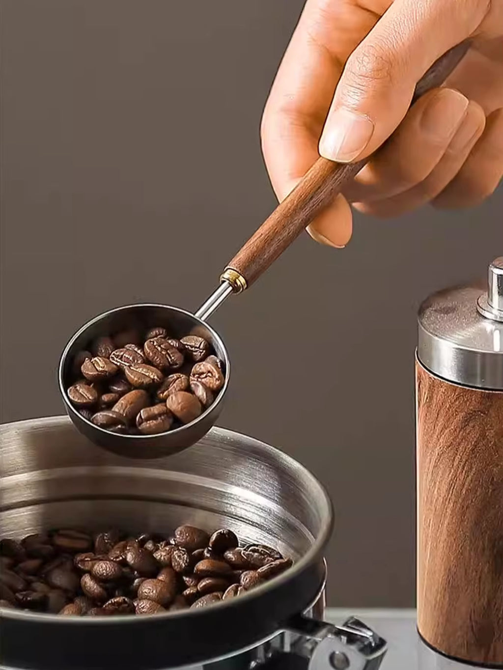 Coffee Scoop - Stainless Steel with Walnut Wood Handle – image 5