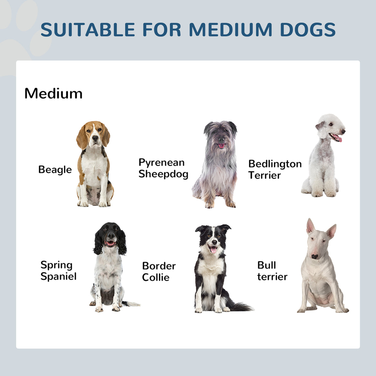 17" Double Stainless Steel Elevated Dog Bowl Feeding Station – image 7