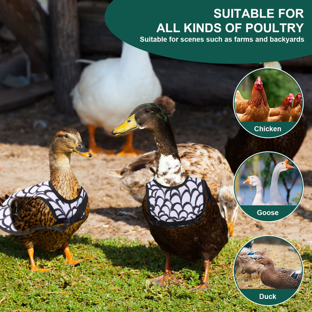 Chicken Saddle Feather Protector 3-Pack with Adjustable Straps – image 7