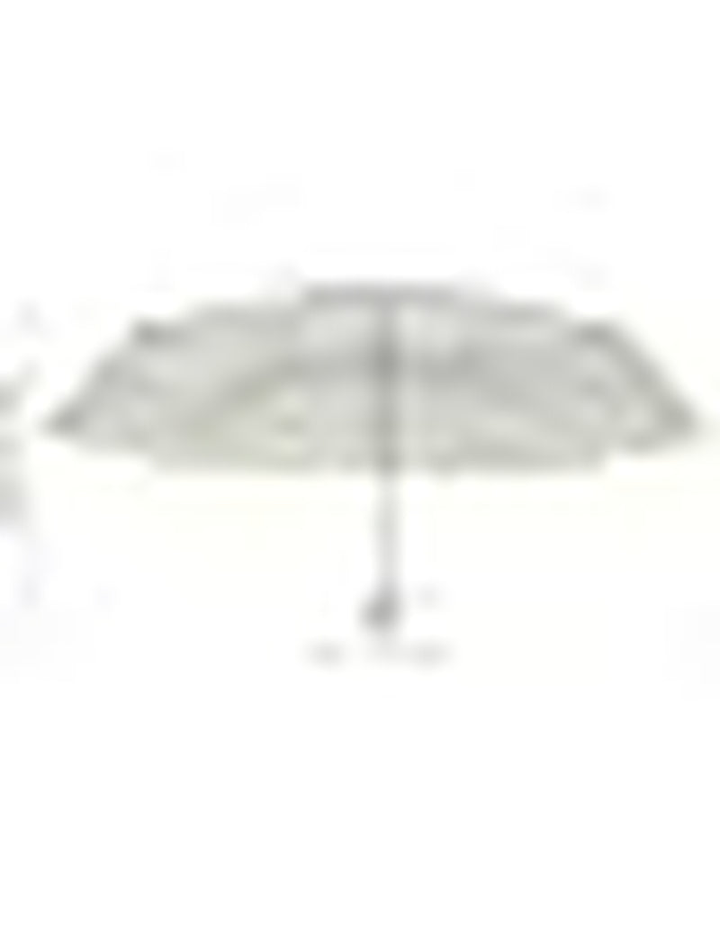 Clear Umbrella, Auto Open Folding Windproof Travel Umbrella – image 3