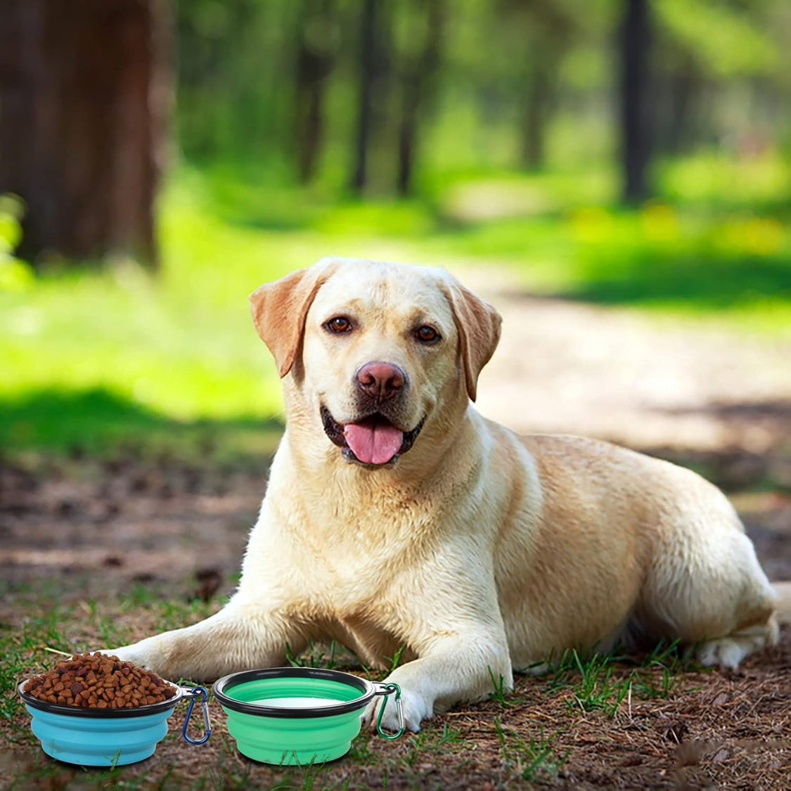 2-Pack Collapsible Travel Pet Bowls with Lids – image 5