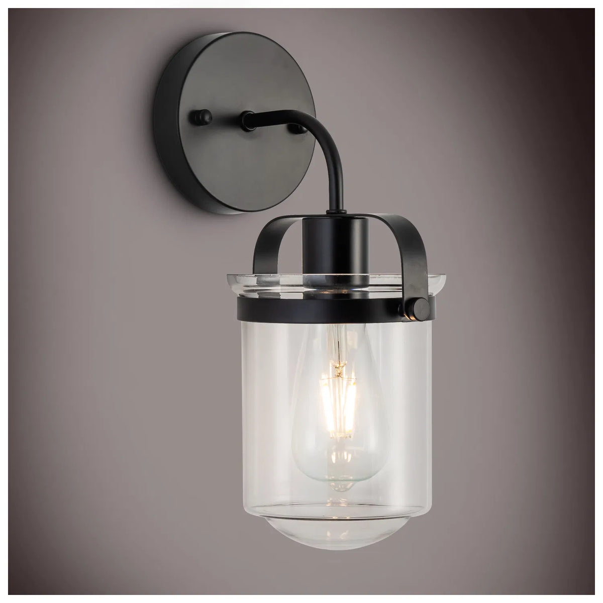 Modern 1-Light Wall Sconce with Clear Glass Globe Shade