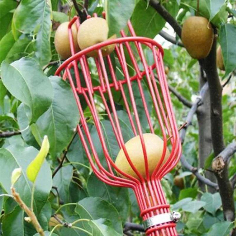 Fruit Picker Head with Deep Basket, Garden Harvest Tool – image 2