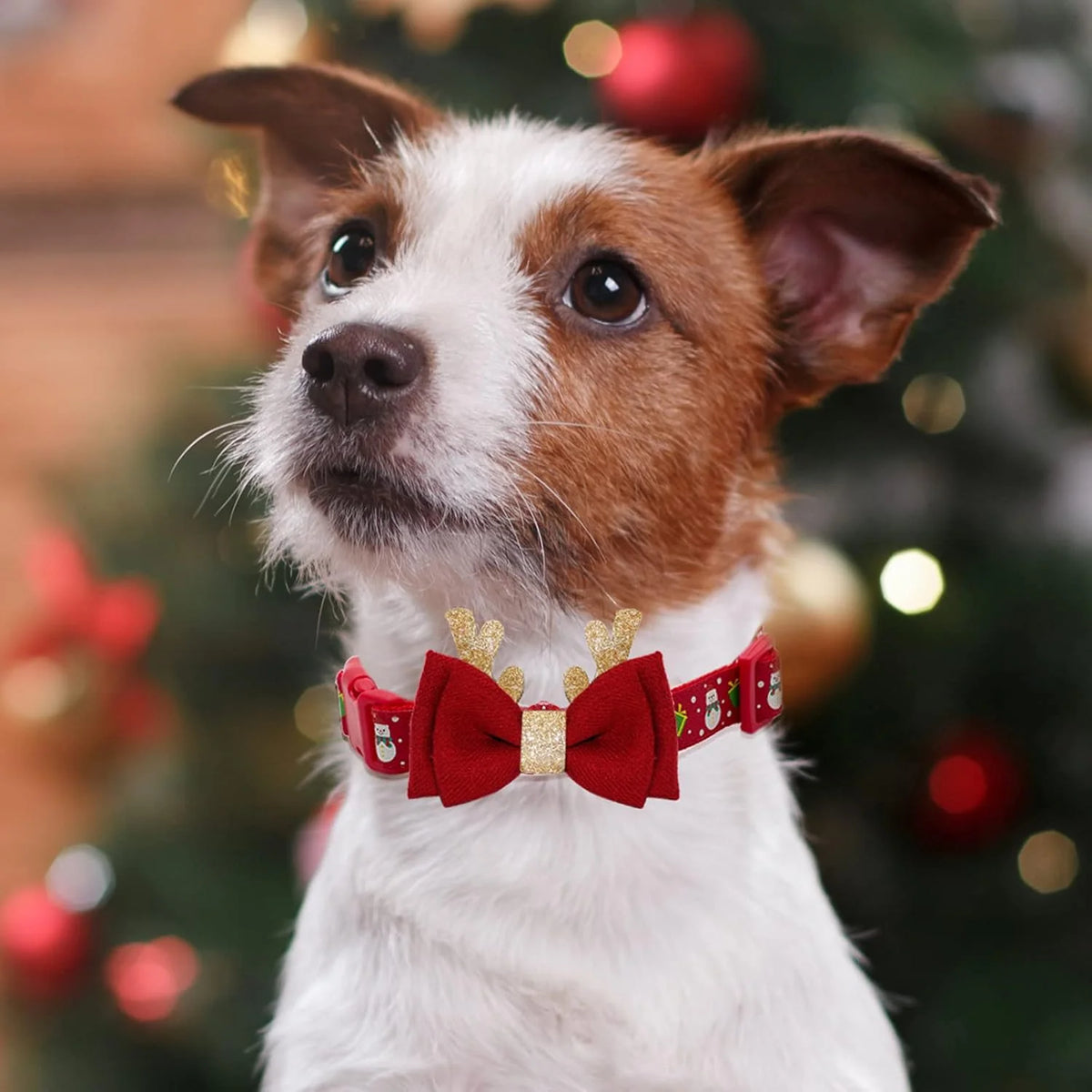 Christmas Dog Collar with Removable Antler Bow Tie – image 4