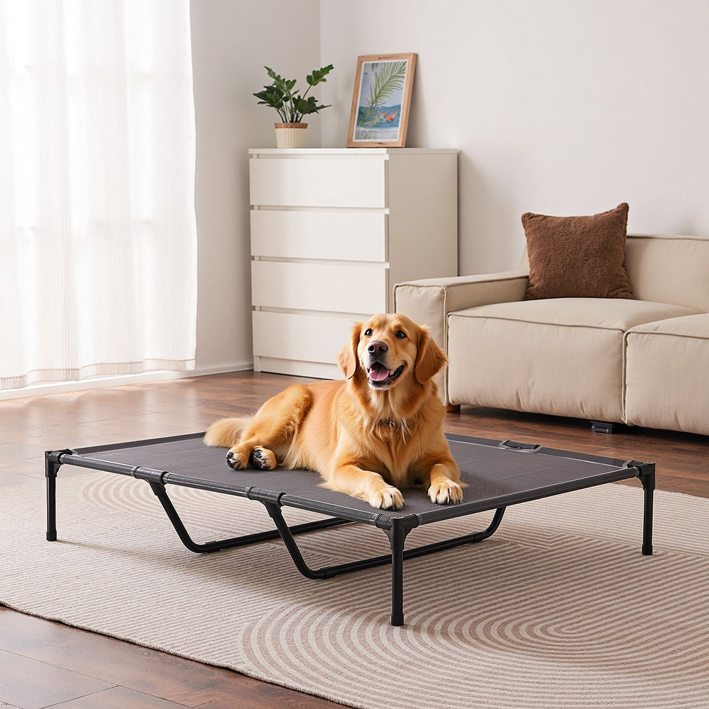 Elevated Dog Bed XL Raised Dog Cot with Metal Frame